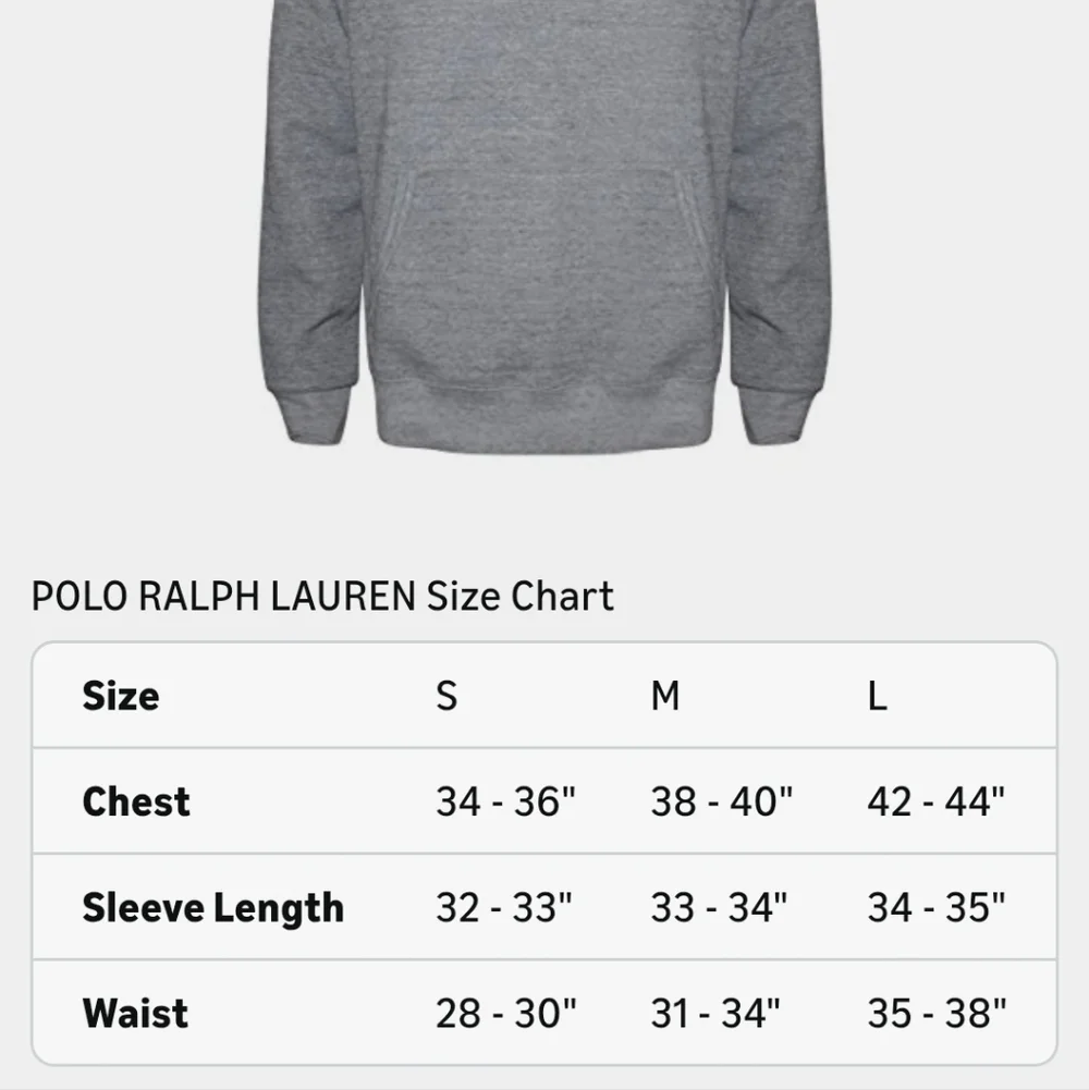 Polo Ralph Lauren Double-Knit Pullover Hooded Sweatshirt - Picture 3 of 3